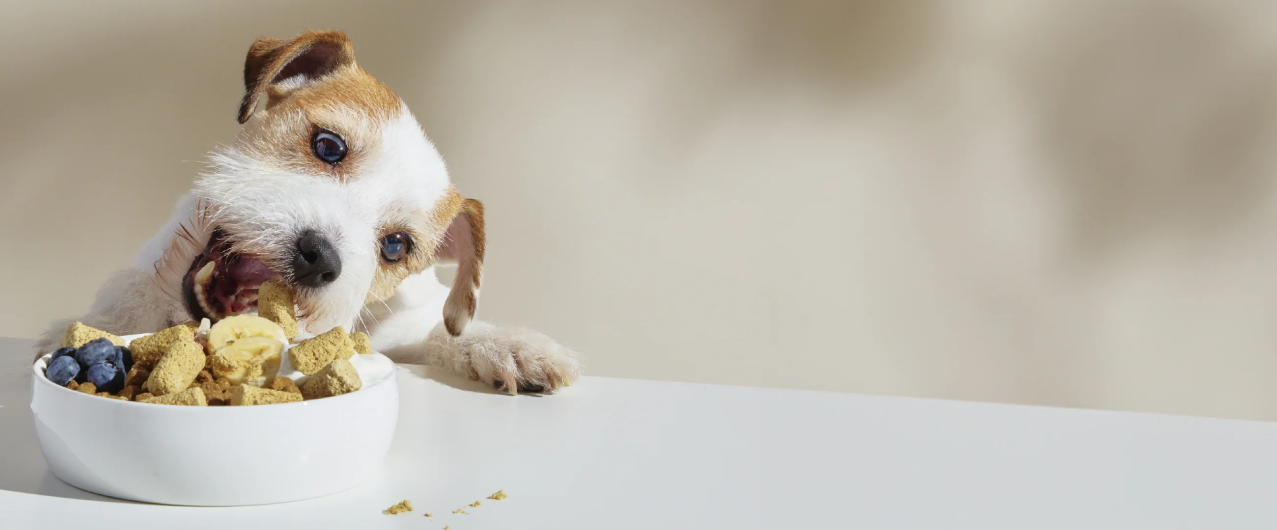 Pure Nutrition for Every Pet