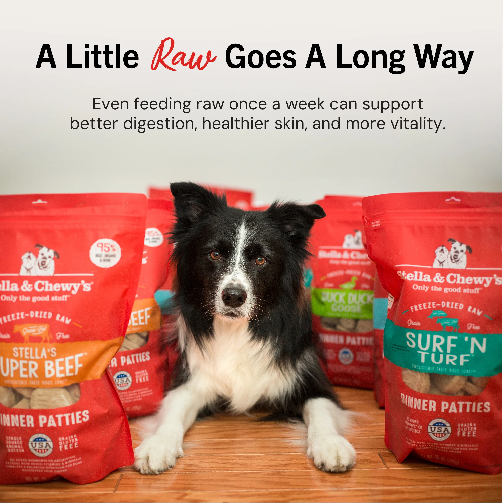 Chicken & Salmon Freeze-Dried Raw Dinner Patties for Puppies - Image 6