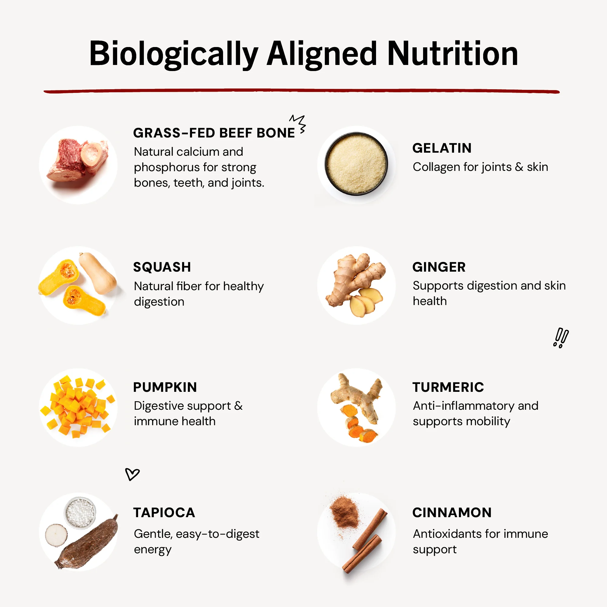 Bountiful Bone Broth Grass-Fed Beef Recipe for Dogs - Image 4