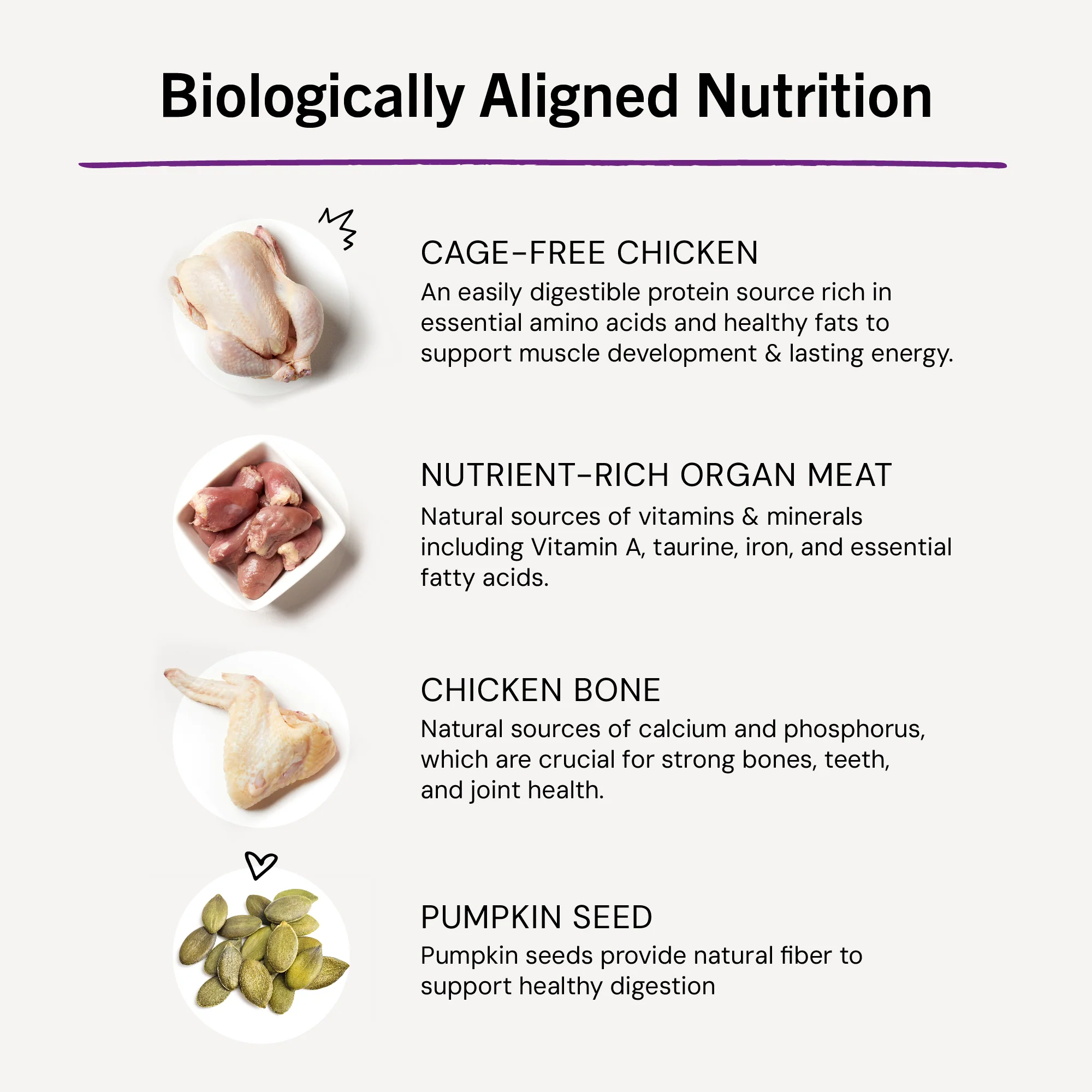 Chick, Chick Chicken Freeze-Dried Raw Dinner Morsels for Cats - Image 11