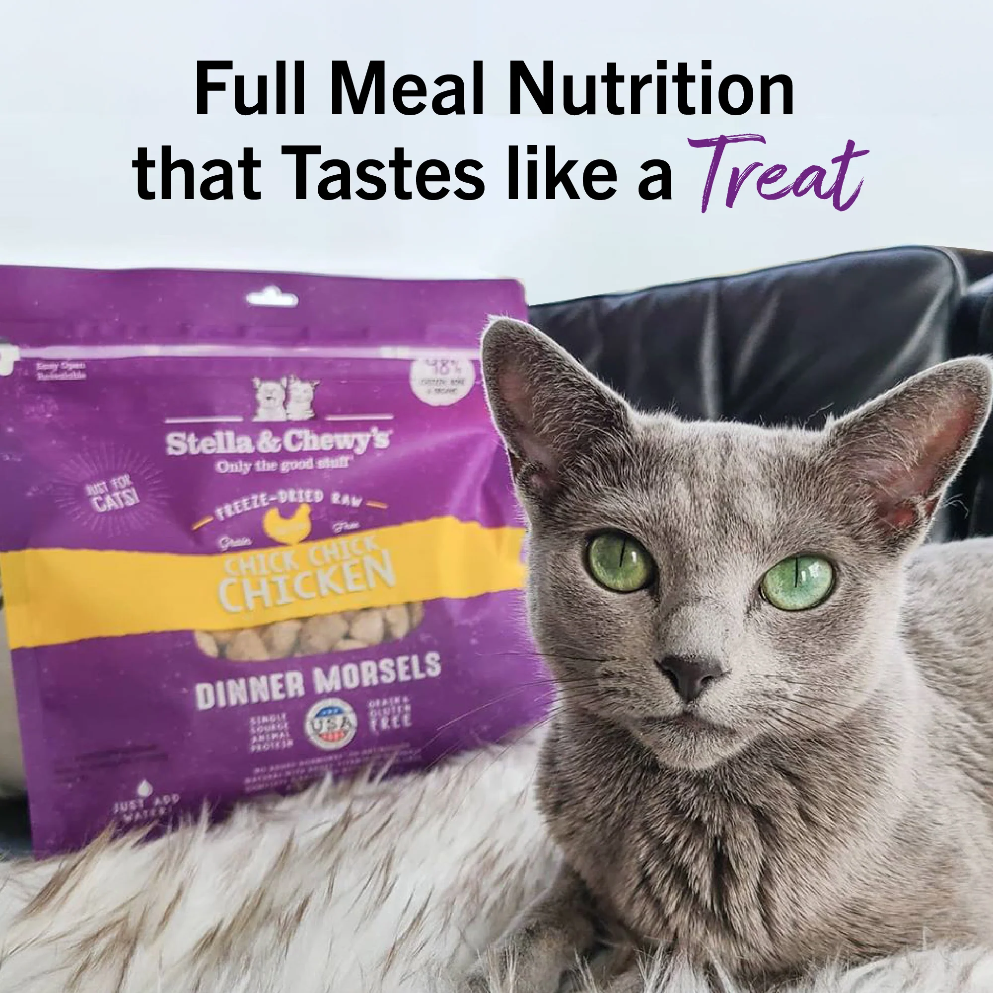 Chick, Chick Chicken Freeze-Dried Raw Dinner Morsels for Cats - Image 13