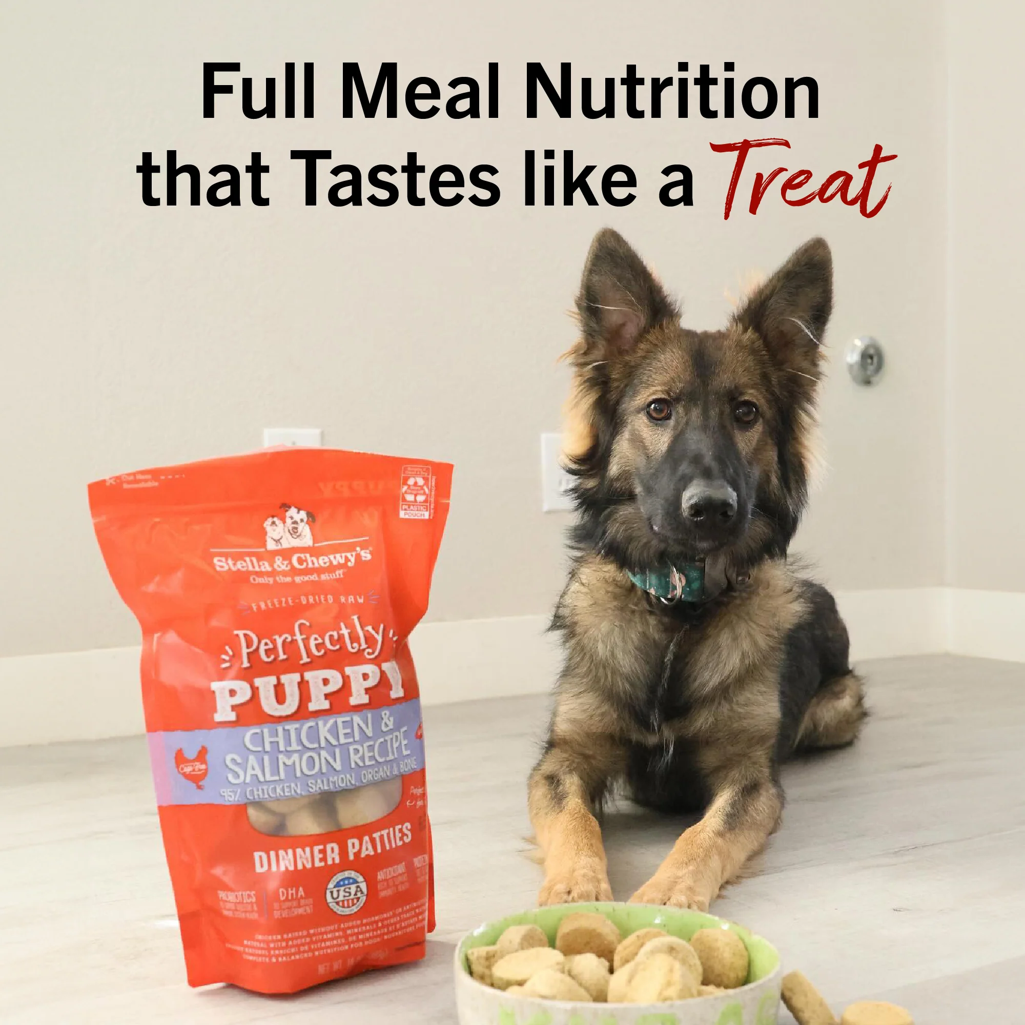 Chicken & Salmon Freeze-Dried Raw Dinner Patties for Puppies - Image 12
