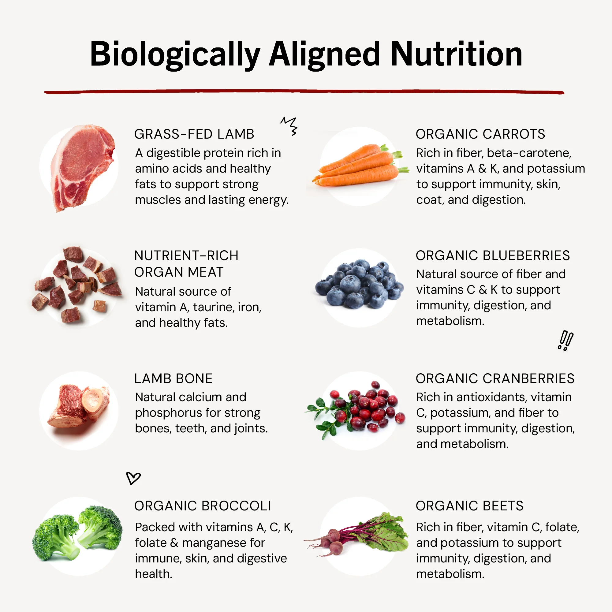 Dandy Lamb Freeze-Dried Raw Dinner Patties for Dogs - Image 11