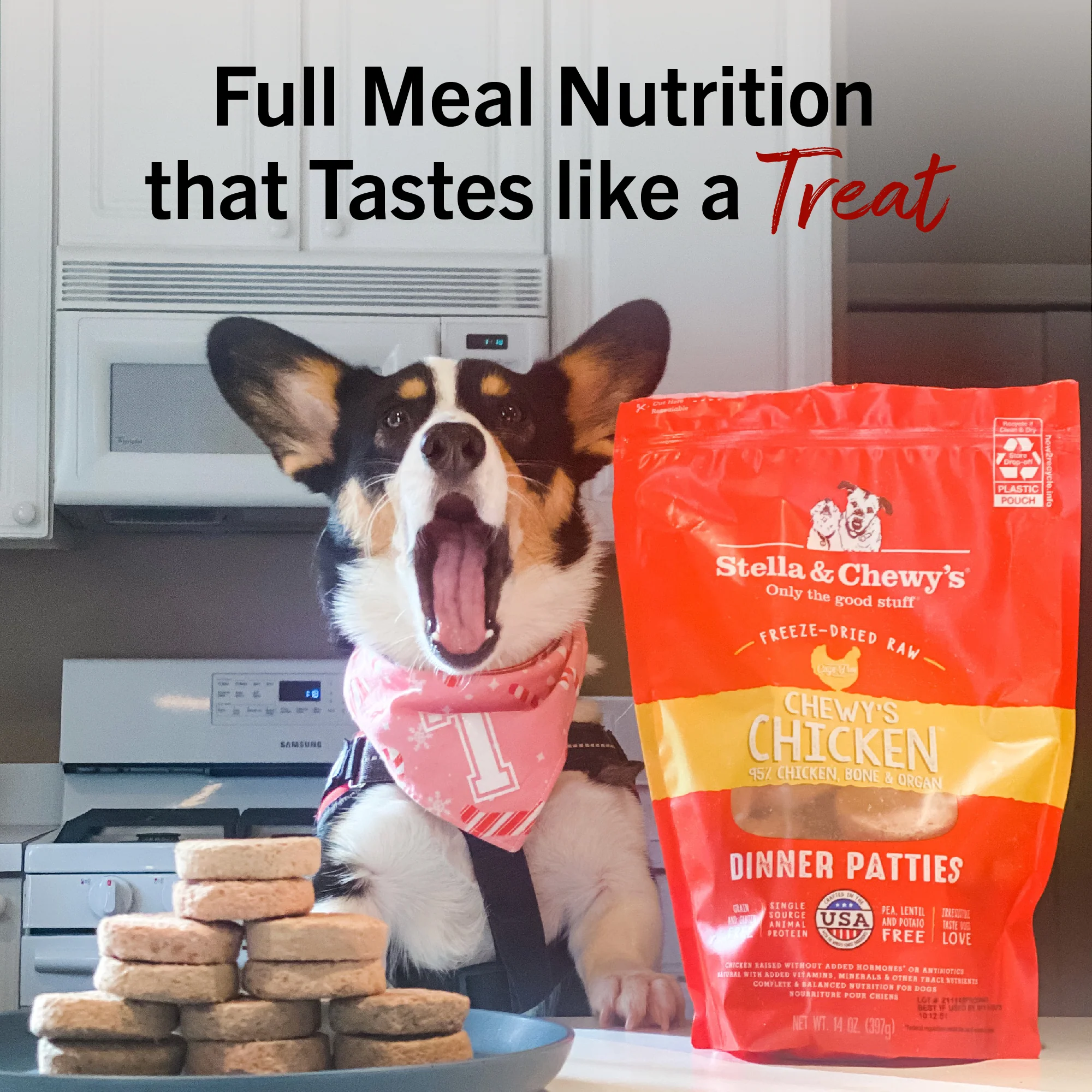 Dandy Lamb Freeze-Dried Raw Dinner Patties for Dogs - Image 13