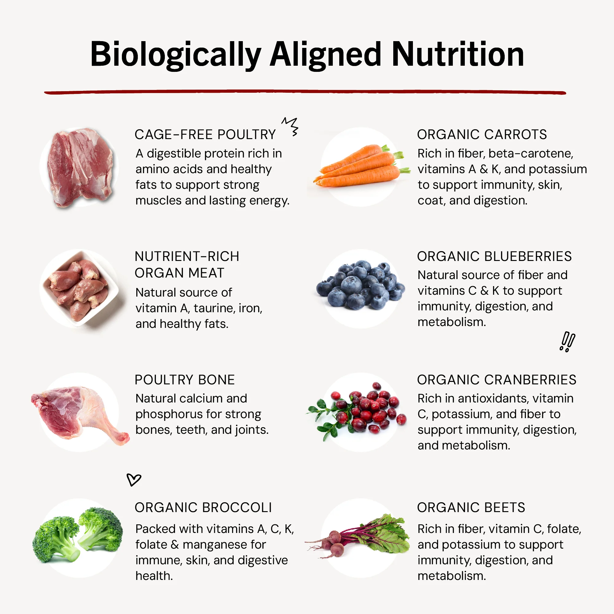 Duck Duck Goose Meal Mixers for Dogs - Image 10