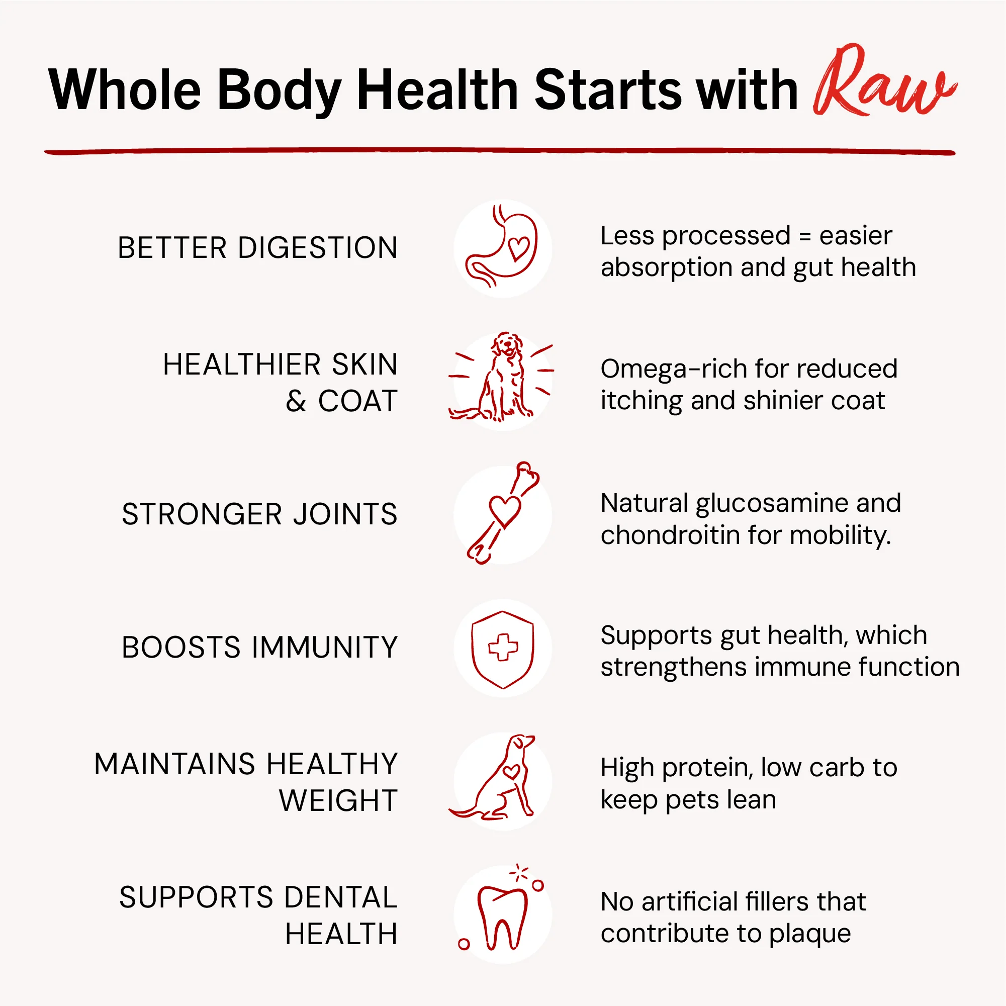 Marie’s Magical Breakfast Sprinkles Breakfast Burger for Dogs - Image 4