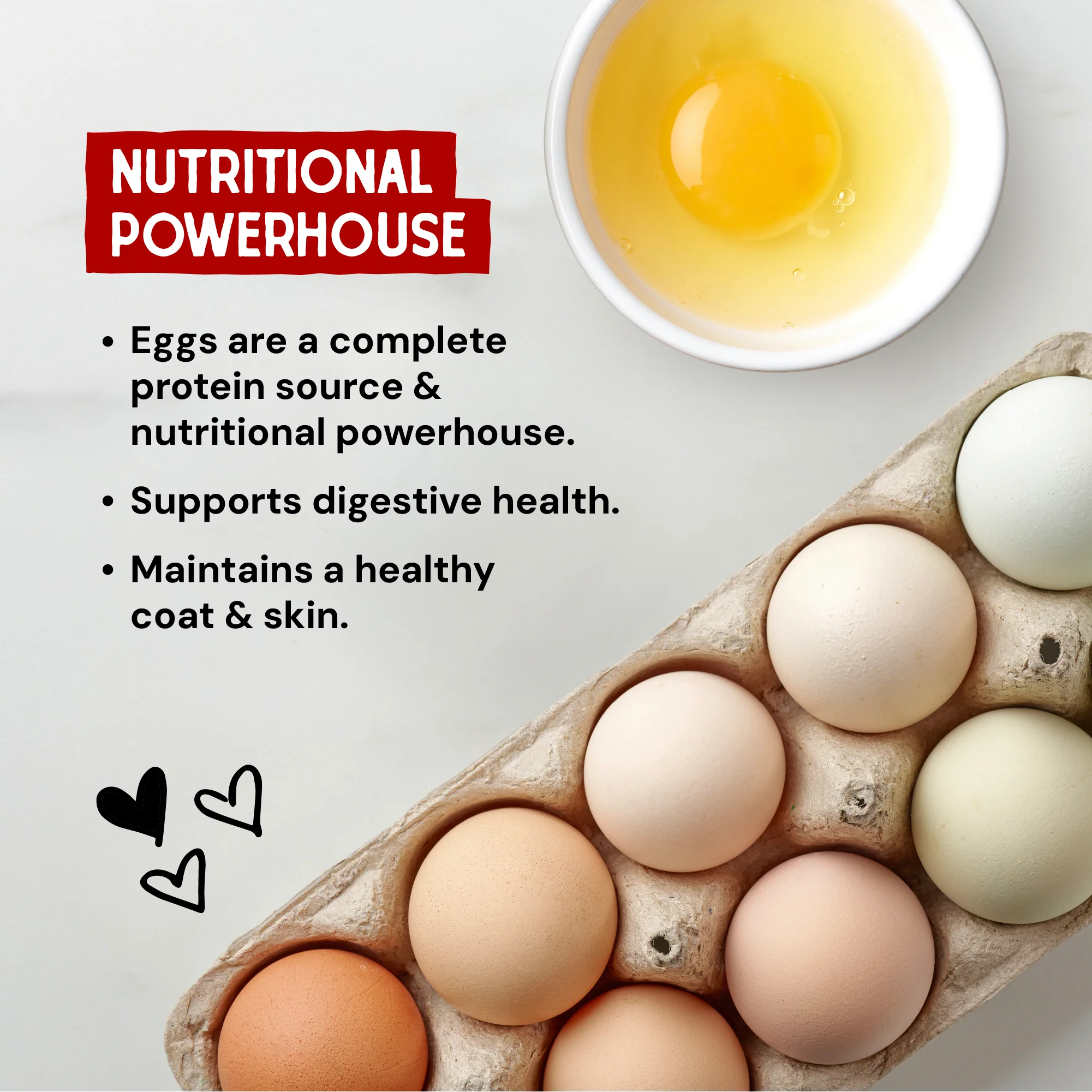 Marie’s Magical Breakfast Sprinkles Breakfast Burger for Dogs - Image 5