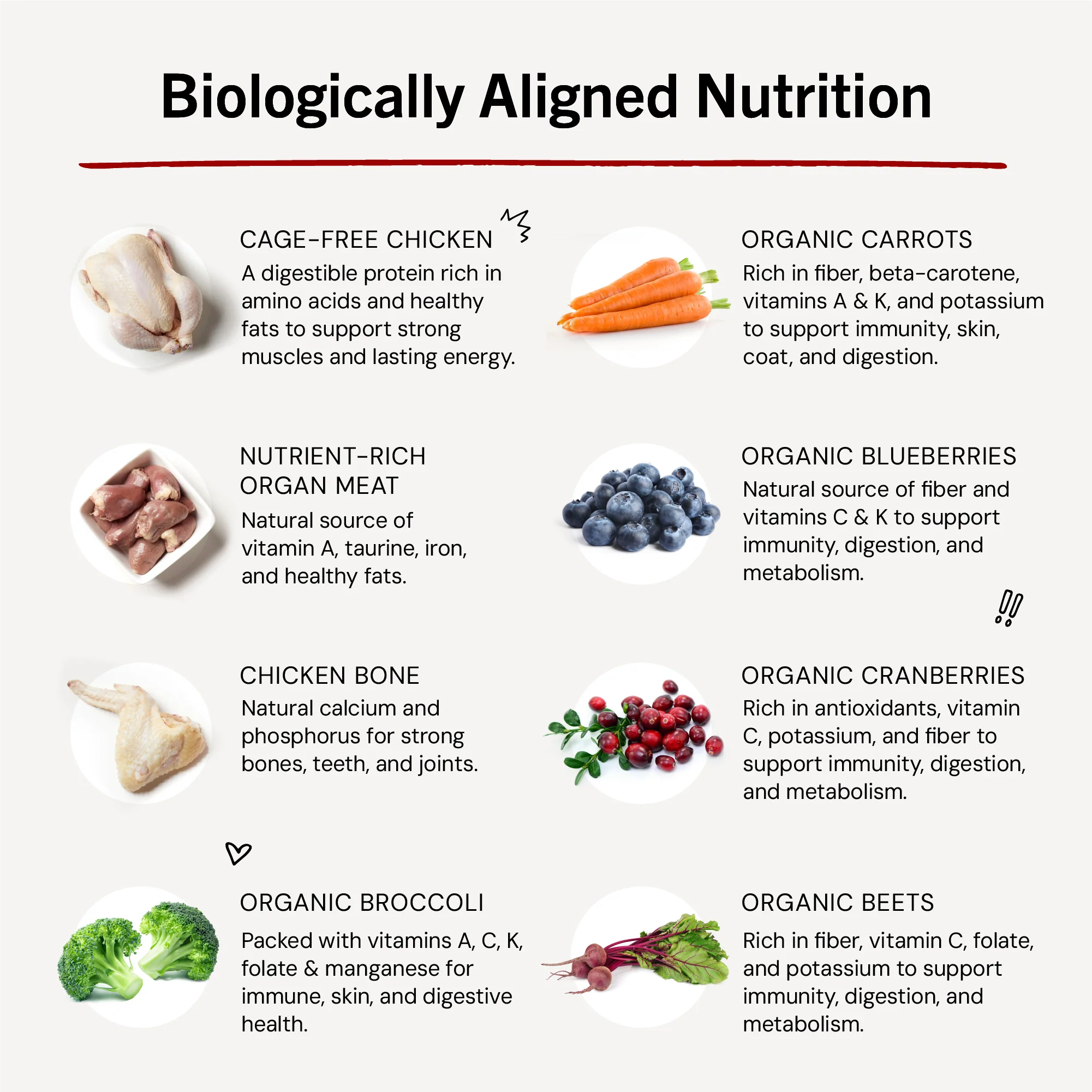 Marie’s Magical Dinner Dust Cage-Free Chicken for Dogs - Image 9