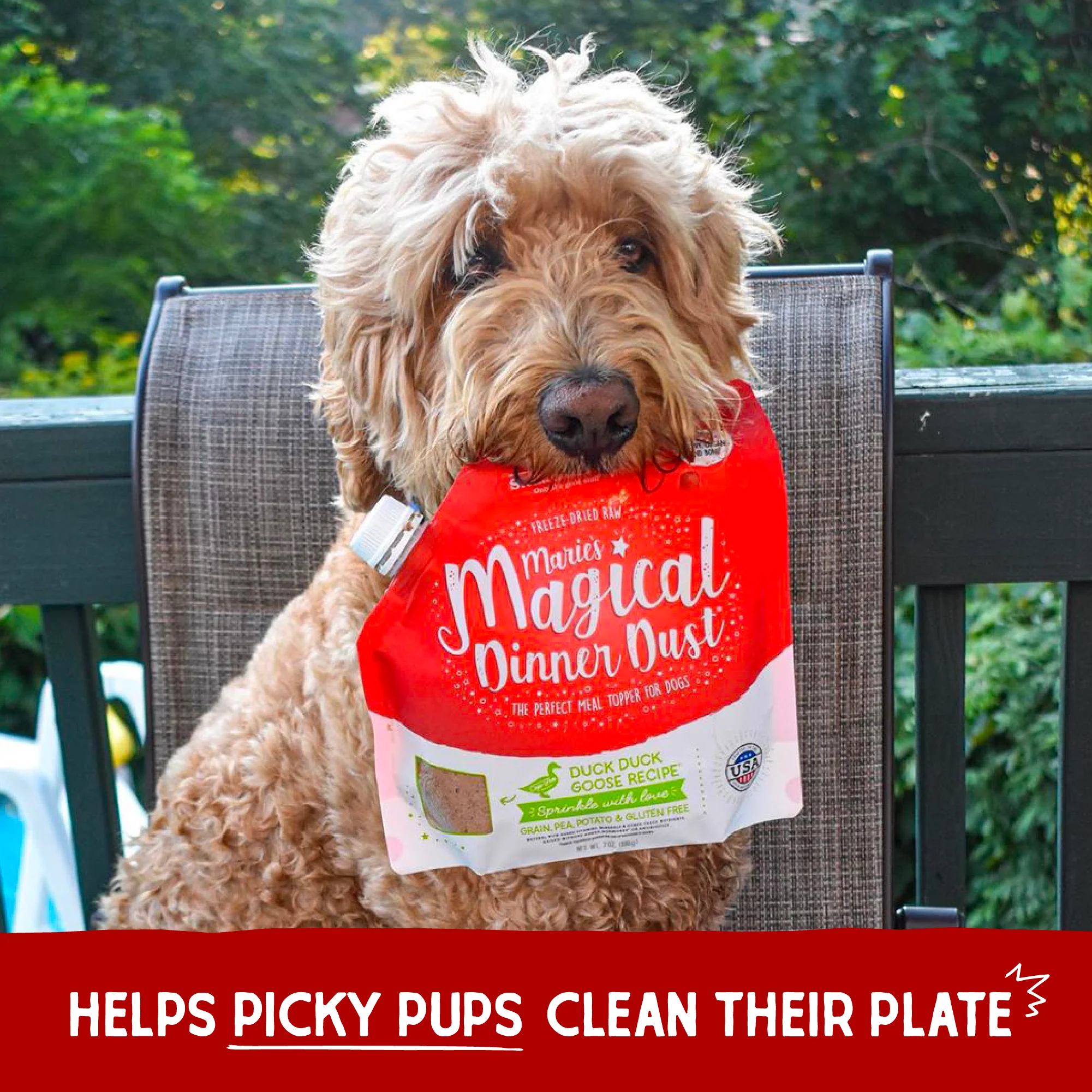 Marie’s Magical Dinner Dust Duck Duck Goose for Dogs - Image 11