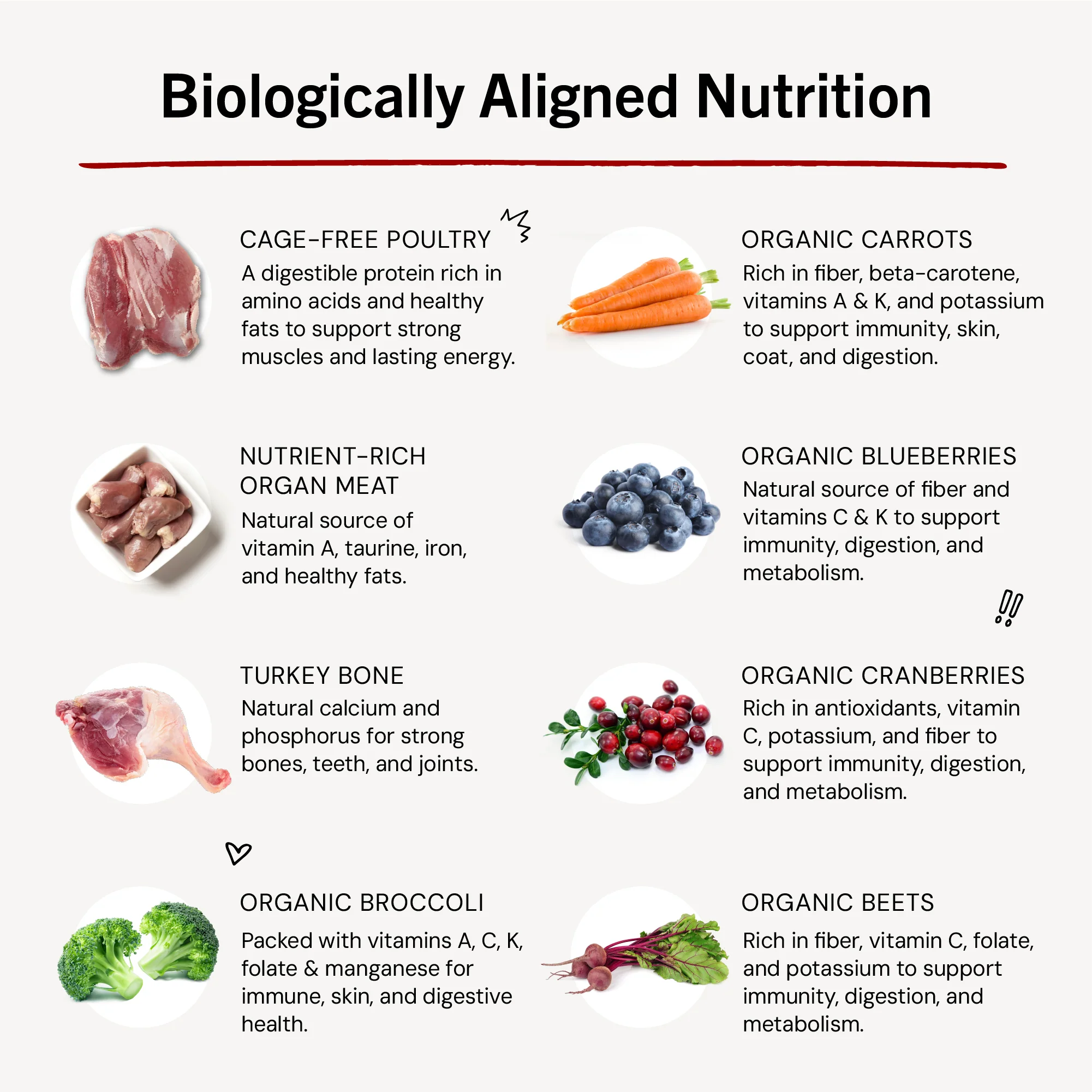 Marie’s Magical Dinner Dust Duck Duck Goose for Dogs - Image 9