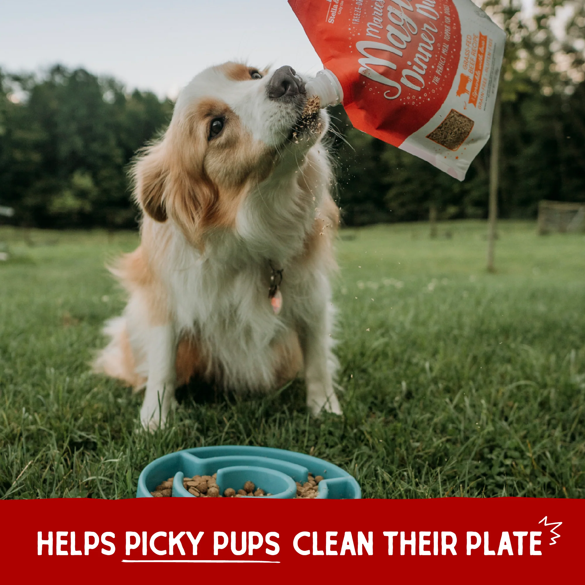 Marie’s Magical Dinner Dust Grass-Fed Beef for Dogs - Image 11