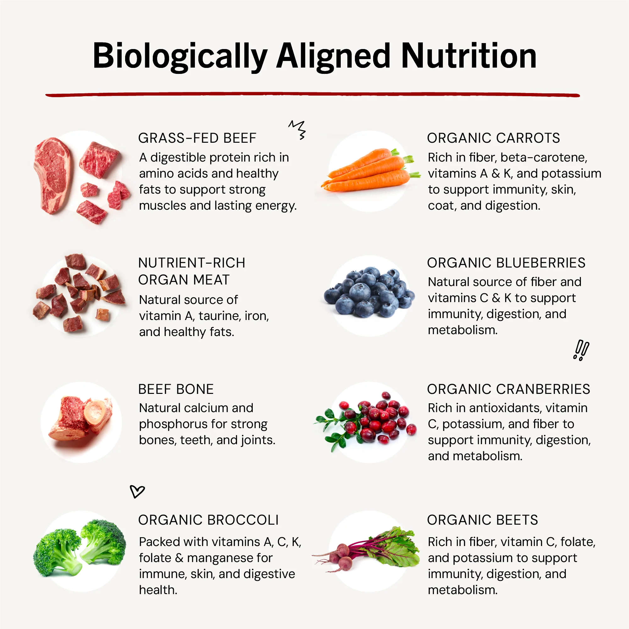 Marie’s Magical Dinner Dust Grass-Fed Beef for Dogs - Image 9