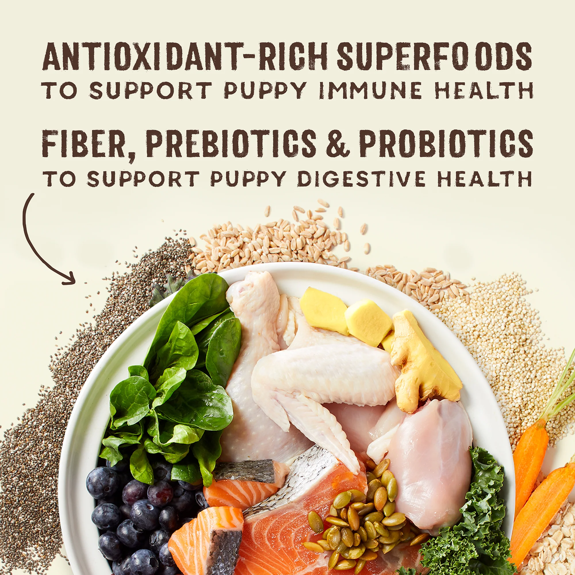 SuperBlends Raw Coated Kibble: Chicken, Salmon + Superfoods for Puppies - Image 6
