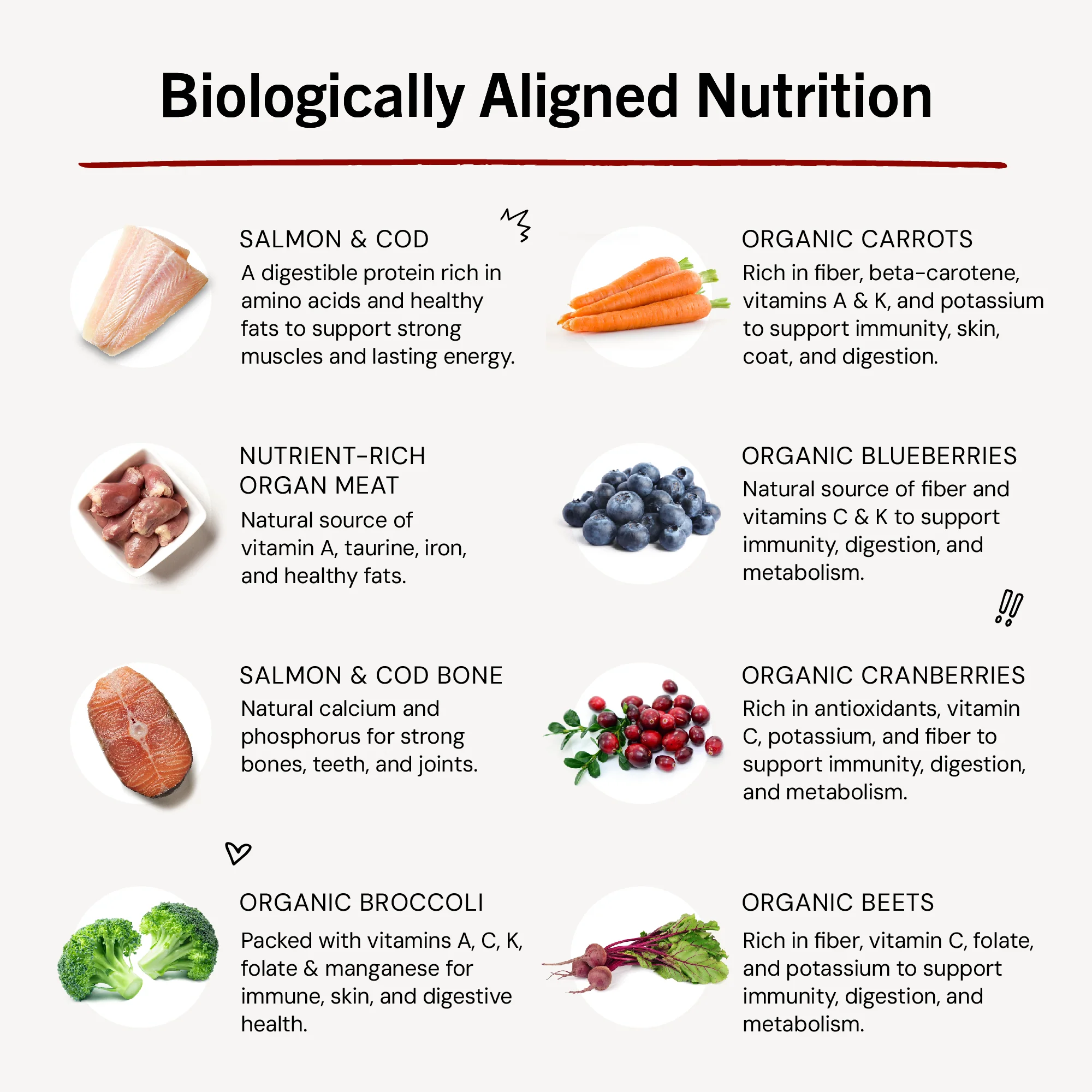 Savory Salmon & Cod Meal Mixers for Dogs - Image 11