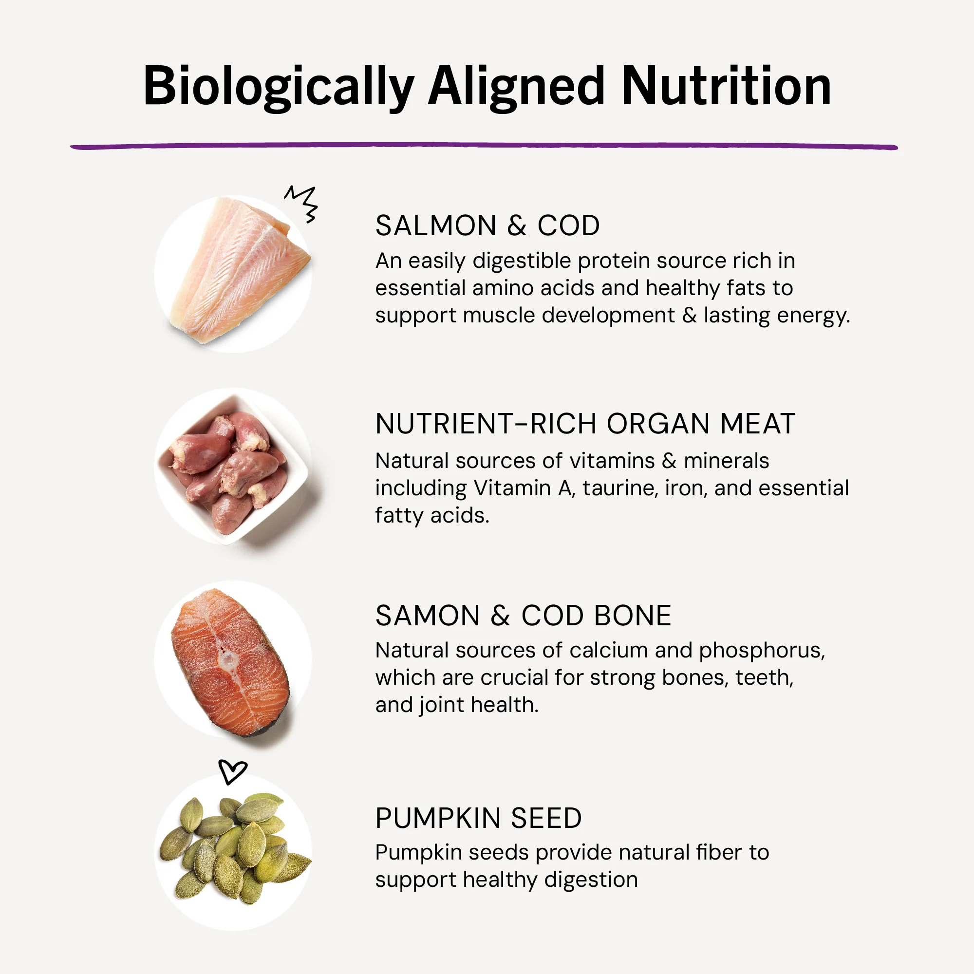 Sea-Licious Salmon & Cod Freeze-Dried Raw Dinner Morsels for Cats - Image 11