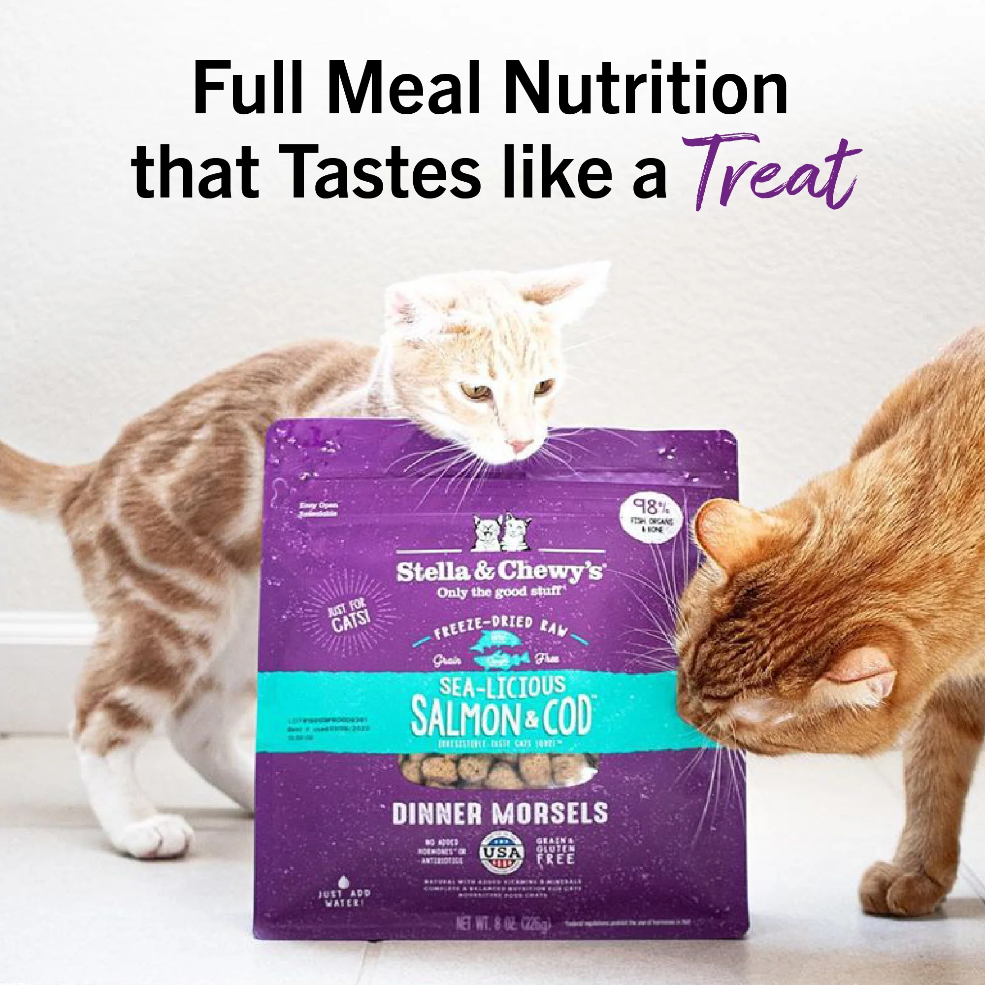 Sea-Licious Salmon & Cod Freeze-Dried Raw Dinner Morsels for Cats - Image 13