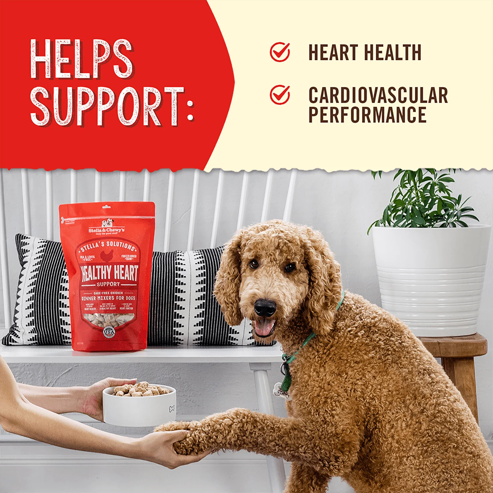 Stella’s Solutions Healthy Heart Support for Dogs - Image 4