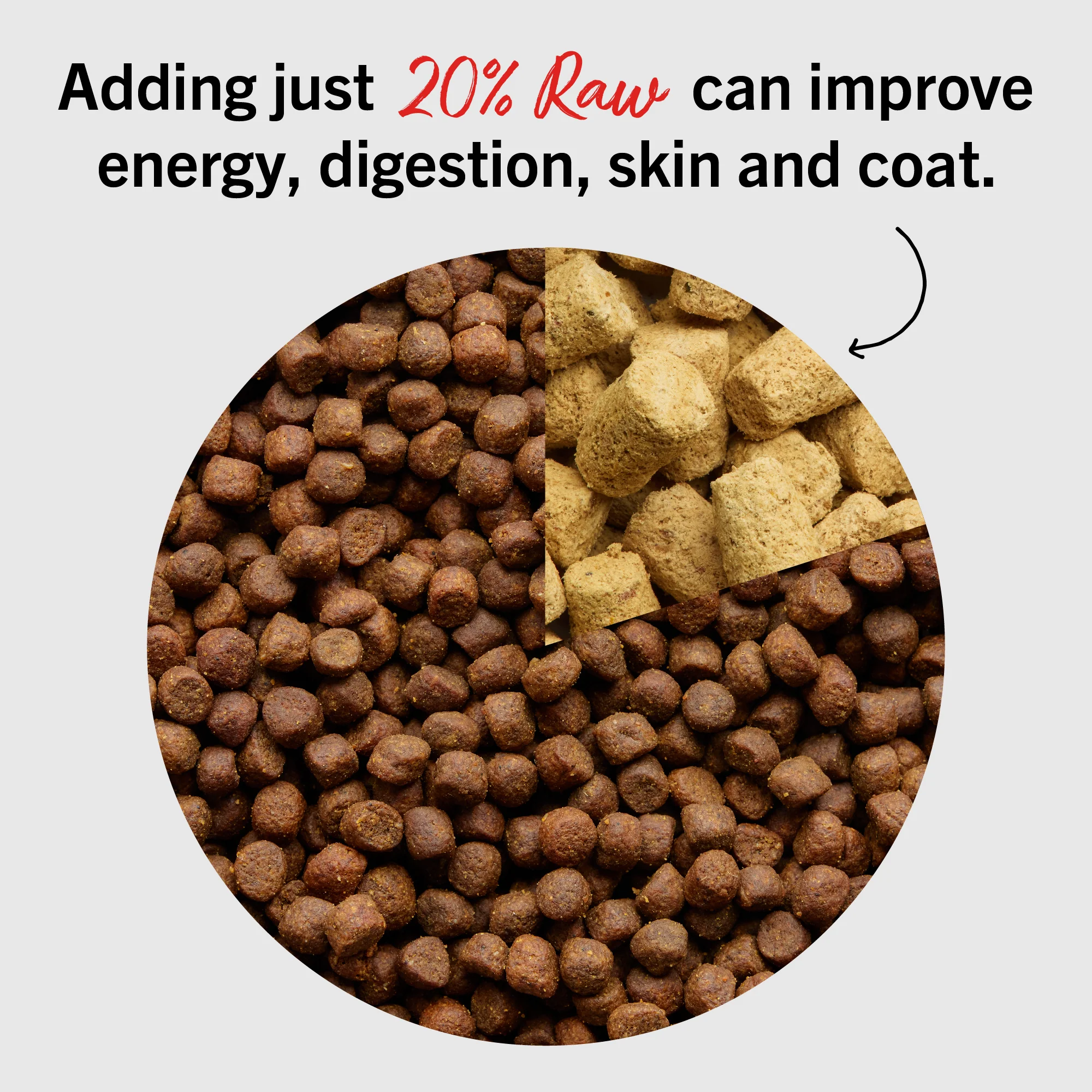 Dandy Lamb Meal Mixers for Dogs - Image 7