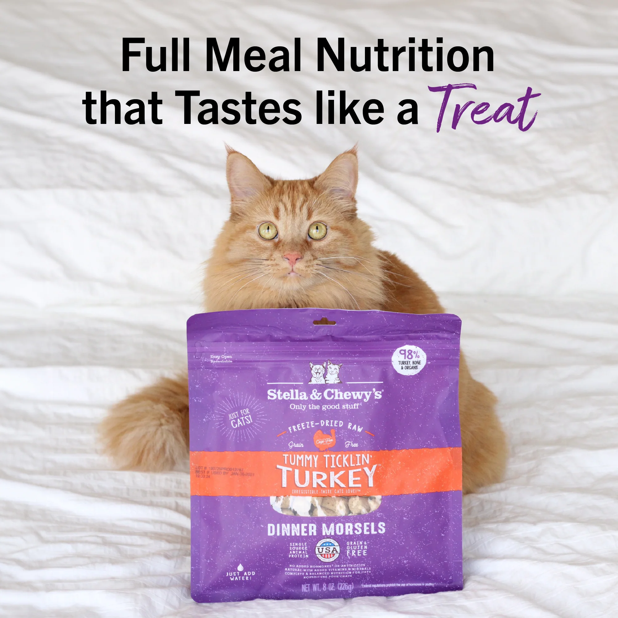 Tummy Ticklin’ Turkey Freeze-Dried Raw Dinner Morsels for Cats - Image 13